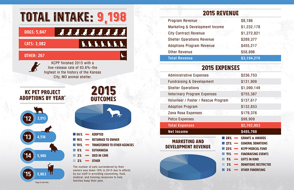 Annual Report graphic design for nonprofit with infograph